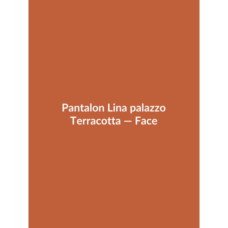 Pantalon Lina palazzo — Terracotta, vue face