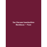 Sac Hanane bandoulière — Bordeaux, vue face