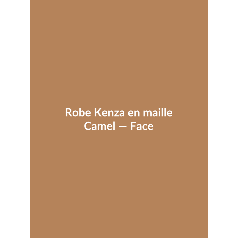 Robe Kenza en maille — Camel, vue face