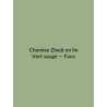 Chemise Zineb en lin — Vert sauge, vue face