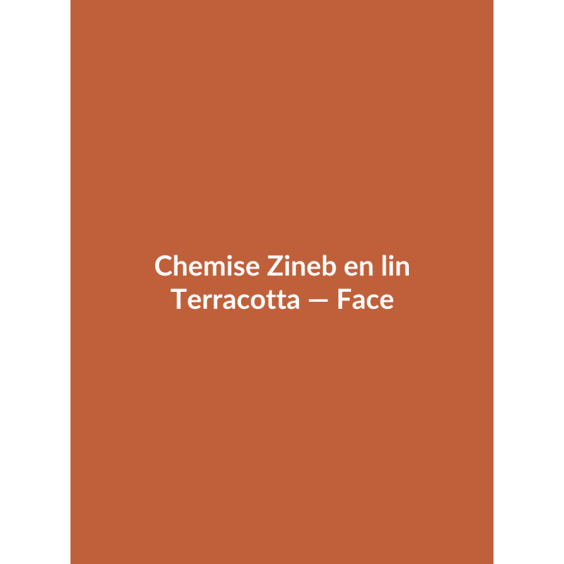 Chemise Zineb en lin — Terracotta, vue face
