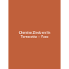 Chemise Zineb en lin — Terracotta, vue face